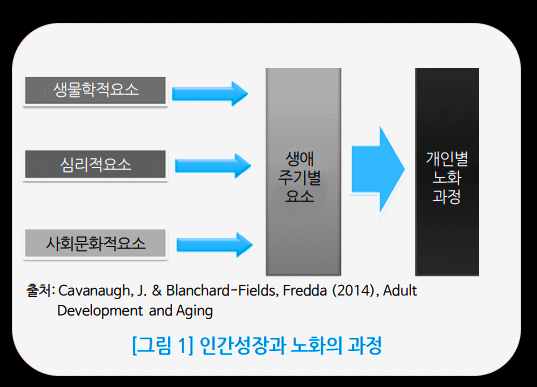 노인기의 변화